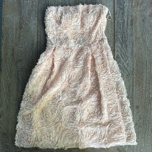 Zara Rosette Strapless Dress US Size M - Light Blush